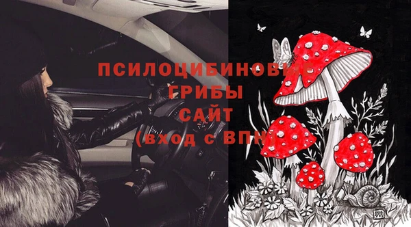 герыч Белокуриха