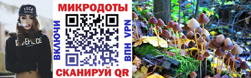 kraken   Малая Вишера  Псилоцибиновые грибы мицелий 